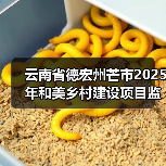 云南省德宏州芒市2025年和美乡村建设项目监理招标公告（图3）