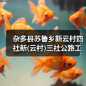杂多县苏鲁乡新云村四社新(云村)三社公路工程施工招标公告 （项目编号：E6301000076059606）（图2）