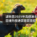 波密县2025年高标准农田提升改造项目项目招标公告（图1）