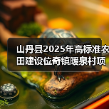 山丹县2025年高标准农田建设位奇镇暖泉村项目(图3) 山丹县2025年高标准农田建设位奇镇暖泉村项目(图3)