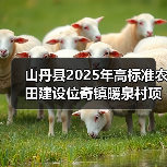 山丹县2025年高标准农田建设位奇镇暖泉村项目(图2) 山丹县2025年高标准农田建设位奇镇暖泉村项目(图2)