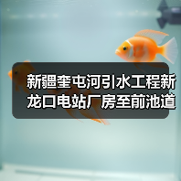 新疆奎屯河引水工程新龙口电站厂房至前池道路（S-DL03）路面工程招标公告（图2）