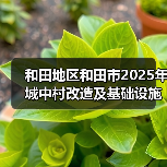 和田地区和田市2025年城中村改造及基础设施配套建设项目（EPC总承包标段）（图2）