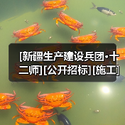 [新疆生产建设兵团·十二师][公开招标][施工]第十二师某单位业务技术用房附属配套设施项目(施工标段）（图1）