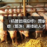 （机器管招投标）国家级（旅游）高技能人才培训基地项目施工总承包招标公告（图4）