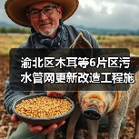 渝北区木耳等6片区污水管网更新改造工程施工(图1) 渝北区木耳等6片区污水管网更新改造工程施工(图1)