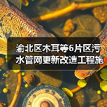 渝北区木耳等6片区污水管网更新改造工程施工(图3) 渝北区木耳等6片区污水管网更新改造工程施工(图3)