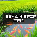 田面村城中村改造工程（三标段）（图1）