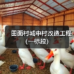 田面村城中村改造工程（一标段）（图2）