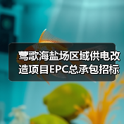 莺歌海盐场区域供电改造项目EPC总承包招标公告（图1）