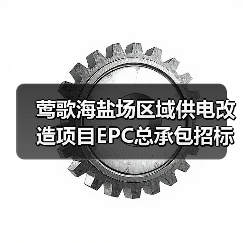 莺歌海盐场区域供电改造项目EPC总承包招标公告（图2）