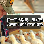 联十四线以南、宝兴路以西用地内部支路道路工程(图3) 联十四线以南、宝兴路以西用地内部支路道路工程(图3)