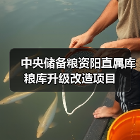 中央储备粮资阳直属库粮库升级改造项目（图4）