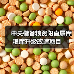 中央储备粮资阳直属库粮库升级改造项目（图2）