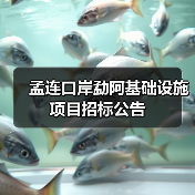 孟连口岸勐阿基础设施项目招标公告（图2）