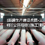 [新疆生产建设兵团·三师][公开招标][施工]新疆唐王城鼎盛综合产业基地及其附属配套建设项目（一期）(施工五标段)（图2）