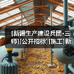[新疆生产建设兵团·三师][公开招标][施工]新疆唐王城鼎盛综合产业基地及其附属配套建设项目（一期）(施工五标段)（图3）