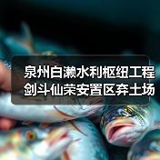 泉州白濑水利枢纽工程剑斗仙荣安置区弃土场(一标段)(图4) 泉州白濑水利枢纽工程剑斗仙荣安置区弃土场(一标段)(图4)