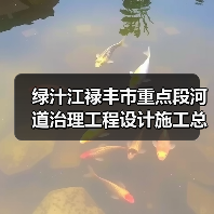 绿汁江禄丰市重点段河道治理工程设计施工总承包招标公告（图2）