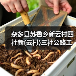 杂多县苏鲁乡新云村四社新(云村)三社公路工程施工招标公告 (项目编号:E6301000076059606)(图4) 杂多县苏鲁乡新云村四社新(云村)三社公路工程施工招标公告 (项目编号:E6301000076059606)(图4)