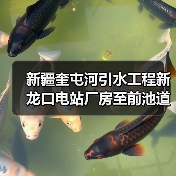 新疆奎屯河引水工程新龙口电站厂房至前池道路（S-DL03）路面工程招标公告（图1）