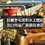 新疆奎屯河引水工程新龙口电站厂房至前池道路（S-DL03）路面工程招标公告（图4）