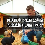 兴庆区中心城区公共空间改造提升项目EPC总承包招标公告（图1）