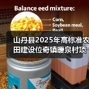 山丹县2025年高标准农田建设位奇镇暖泉村项目(图1) 山丹县2025年高标准农田建设位奇镇暖泉村项目(图1)