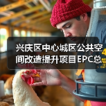 兴庆区中心城区公共空间改造提升项目EPC总承包招标公告（图2）