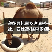 杂多县扎青乡达清村一社、四社智(格森多)至桑(那龙哇)公路工程施工招标公告 (项目编号:E6301000076059608)(图4) 杂多县扎青乡达清村一社、四社智(格森多)至桑(那龙哇)公路工程施工招标公告 (项目编号:E6301000076059608)(图4)