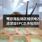 莺歌海盐场区域供电改造项目EPC总承包招标公告（图3）