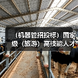 (机器管招投标)国家级(旅游)高技能人才培训基地项目施工总承包招标公告(图1) (机器管招投标)国家级(旅游)高技能人才培训基地项目施工总承包招标公告(图1)