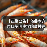 【正常公告】乌鲁木齐县庙尔沟中学综合楼建设项目招标公告（图1）