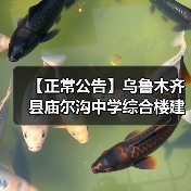 【正常公告】乌鲁木齐县庙尔沟中学综合楼建设项目招标公告（图4）
