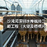 沙湾河深圳水库截排二期工程（大望及梧桐片区水源水质保障）施工总承包Ⅱ标（图1）