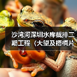 沙湾河深圳水库截排二期工程（大望及梧桐片区水源水质保障）施工总承包Ⅱ标（图4）