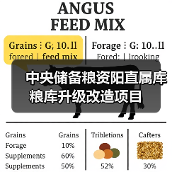 中央储备粮资阳直属库粮库升级改造项目(图3) 中央储备粮资阳直属库粮库升级改造项目(图3)