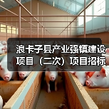 浪卡子县产业强镇建设项目(二次)项目招标公告(图1) 浪卡子县产业强镇建设项目(二次)项目招标公告(图1)