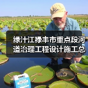 绿汁江禄丰市重点段河道治理工程设计施工总承包招标公告（图4）