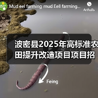 波密县2025年高标准农田提升改造项目项目招标公告（图2）