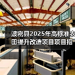 波密县2025年高标准农田提升改造项目项目招标公告（图3）