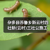 杂多县苏鲁乡新云村四社新(云村)三社公路工程施工招标公告 (项目编号:E6301000076059606)(图1) 杂多县苏鲁乡新云村四社新(云村)三社公路工程施工招标公告 (项目编号:E6301000076059606)(图1)