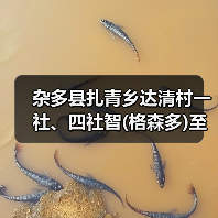 杂多县扎青乡达清村一社、四社智(格森多)至桑(那龙哇)公路工程施工招标公告 （项目编号：E6301000076059608）（图3）