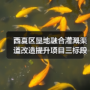 西夏区垦地融合灌溉渠道改造提升项目三标段招标公告（图3）