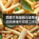 西夏区垦地融合灌溉渠道改造提升项目三标段招标公告（图4）