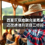 西夏区垦地融合灌溉渠道改造提升项目三标段招标公告（图2）