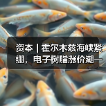 资本 | 霍尔木兹海峡紧绷,电子树脂涨价潮一触即发(图4) 资本 | 霍尔木兹海峡紧绷,电子树脂涨价潮一触即发(图4)