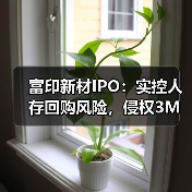 富印新材IPO:实控人存回购风险,侵权3M商标赔偿500万(图2) 富印新材IPO:实控人存回购风险,侵权3M商标赔偿500万(图2)