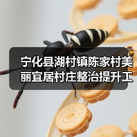 宁化县湖村镇陈家村美丽宜居村庄整治提升工程项目(图1) 宁化县湖村镇陈家村美丽宜居村庄整治提升工程项目(图1)