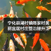 宁化县湖村镇陈家村美丽宜居村庄整治提升工程项目(图4) 宁化县湖村镇陈家村美丽宜居村庄整治提升工程项目(图4)